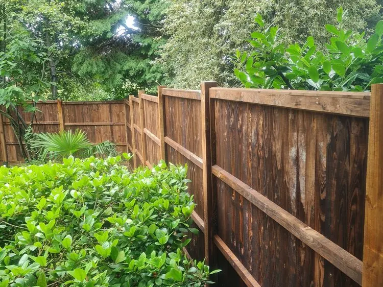 New closeboard timber fence with a capping rail and timber posts running along a border of green shrubs